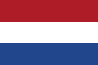 Blue Team Flag